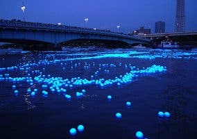 Fotografía del río Sumida
