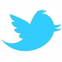 Representación de un pájaro azul que es mascota de Twitter