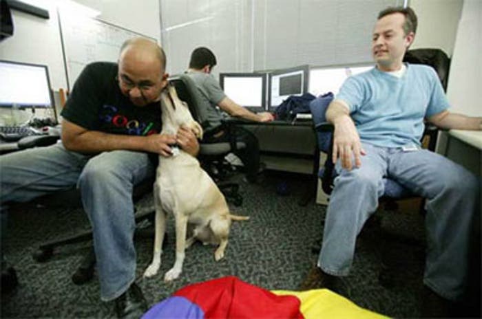 Perros en las oficinas de Google