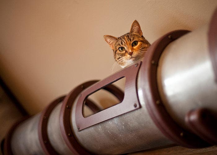 Tunel decorativo para que juegue un gato