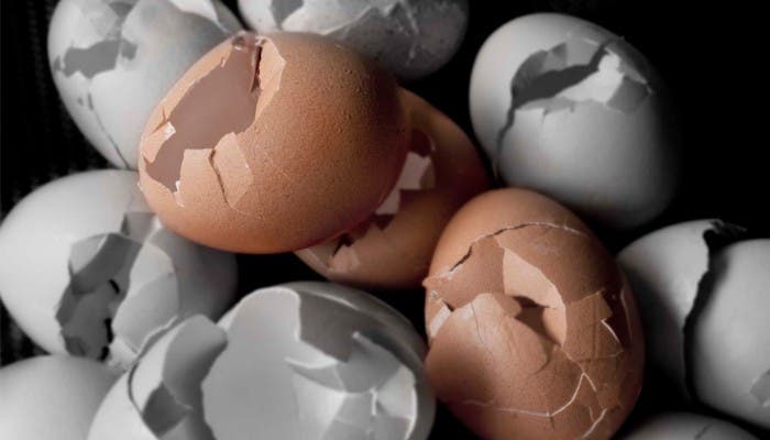 Huevos rotos realizada para concurso de Huevos PItas Pitas
