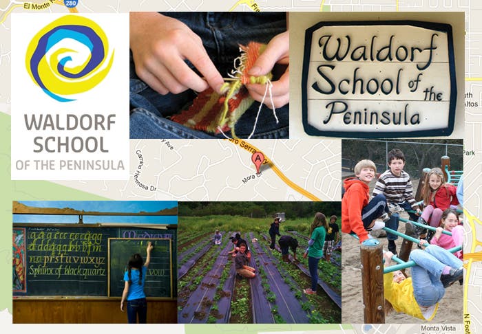Variias imágenes de actividades en el Waldof school