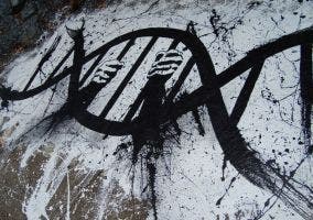 Pintada callejera de ADN