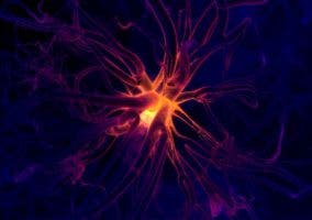 Recreación de una neurona