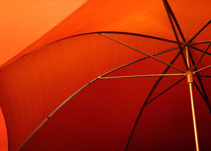 Fotografía del interior de un paraguas