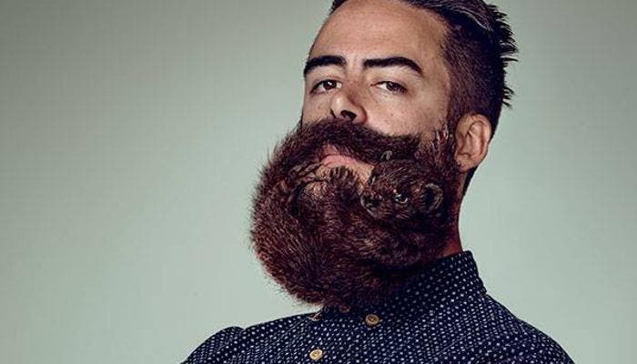 Barba de hipster con forma de animal