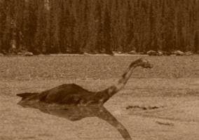 Nessie, el monstruo del lago Ness