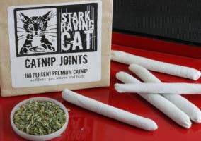 Cat Joints