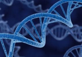 ADN microRNA