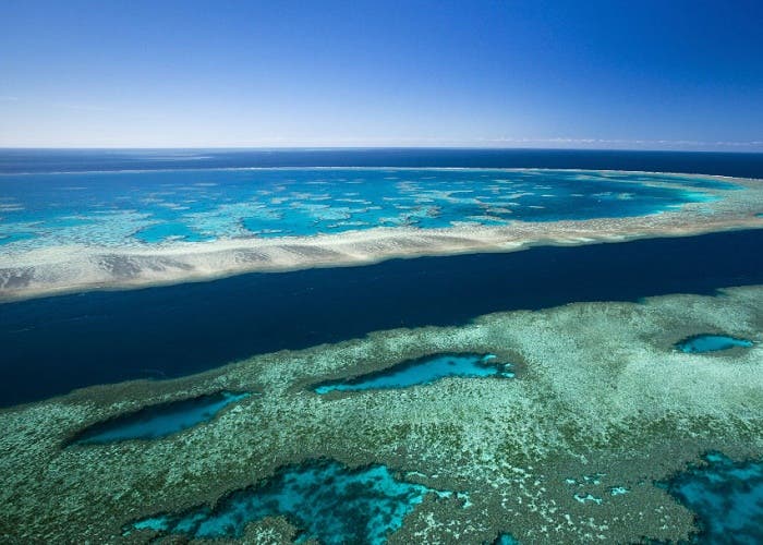 La Gran Barrera de Coral está en sus últimas según alertan los científicos